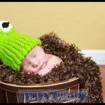 Bright Green Newborn Frog h..